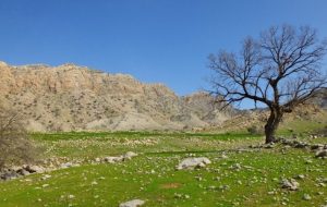 جلوه‌های تماشایی طبیعت گچساران