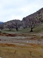 طبیعت تماشایی گچساران در آغوش باران