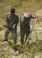 گچساران میزبان پویش ملی «نهال امید»+ تصاویر