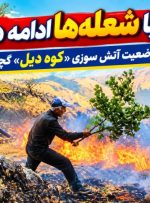 آخرین وضعیت آتش‌سوزی «کوه دیل» گچساران