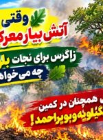 زبانه‌های آتش همچنان در کمین جنگل‌های کهگیلویه‌وبویراحمد!