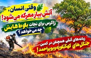 زبانه‌های آتش همچنان در کمین جنگل‌های کهگیلویه‌وبویراحمد!