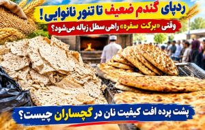 پشت پرده افت «کیفیت نان» در گچساران چیست؟ پشت پرده افت «کیفیت نان» در گچساران چیست؟