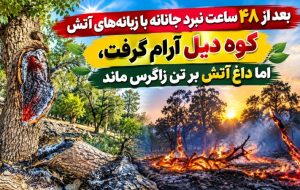 «کوه دیل» آرام گرفت، اما داغ آتش بر تن زاگرس ماند