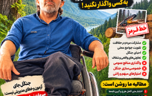 جنگلداری اجتماعی یا خصوصی‌سازی چراغ‌خاموش جنگل‌ها؟